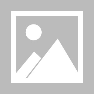 b体育下载-【记意电波】埃里克森告别国米，他为何不能踢意甲？